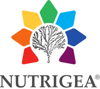Lifestyle Medicine Accelerator